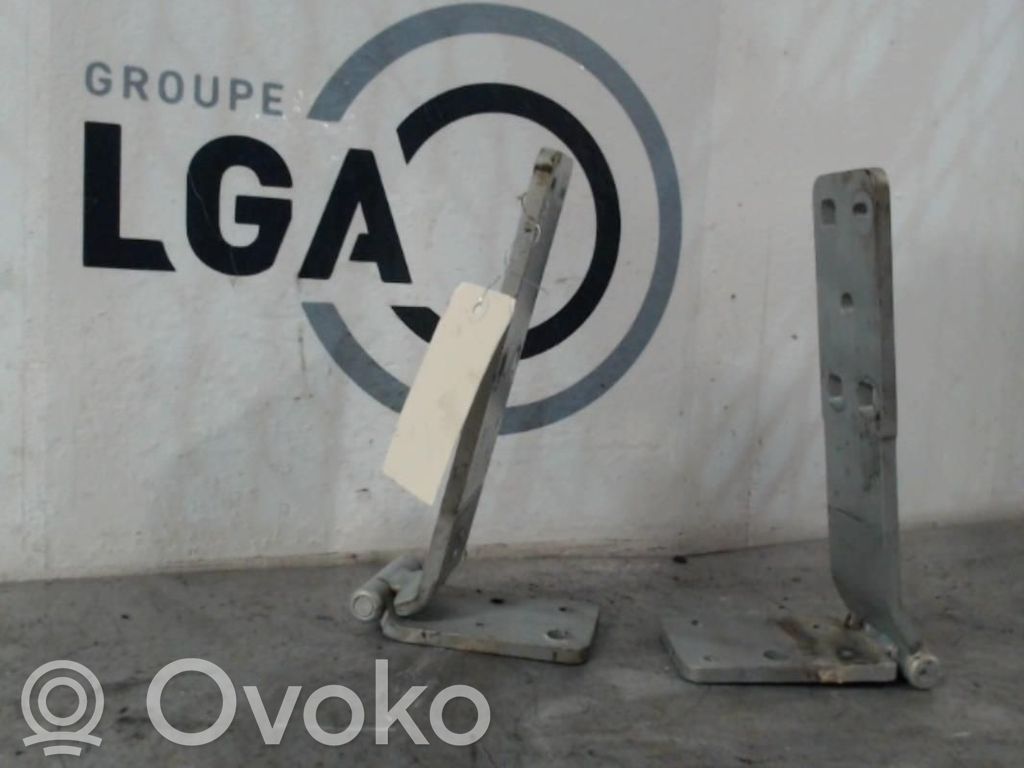 Bisagra del maletero/compartimento de carga   7700354319