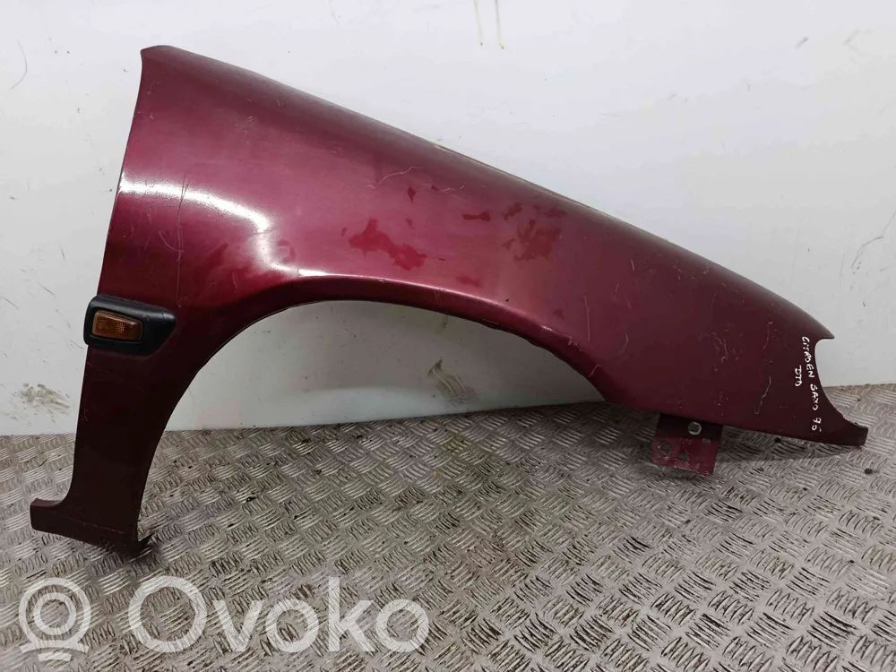 Renault Scenic I Guardabarro 
