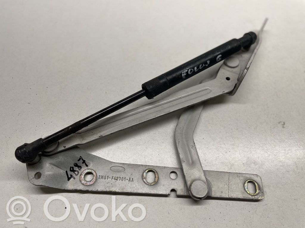 Ford Focus Tailgate/trunk/boot hinge 