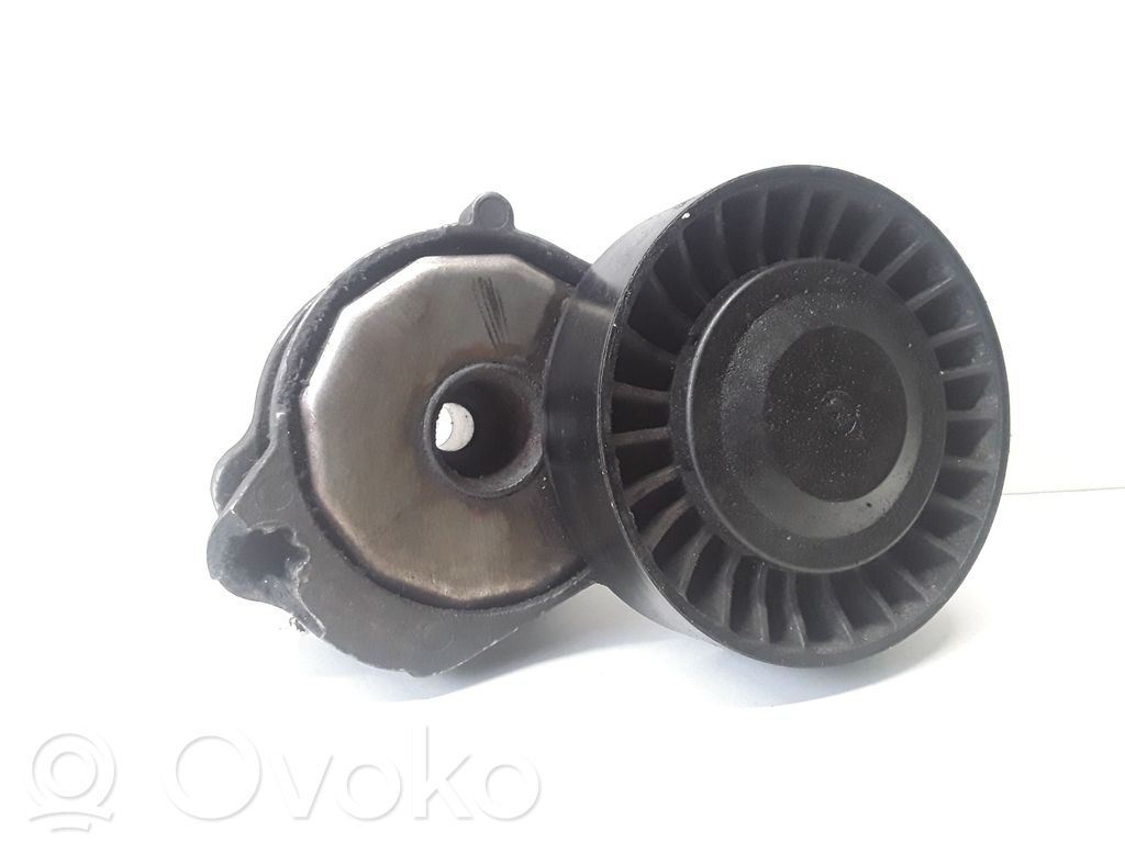 Volvo S80 Întinzător curea generator/alternator 