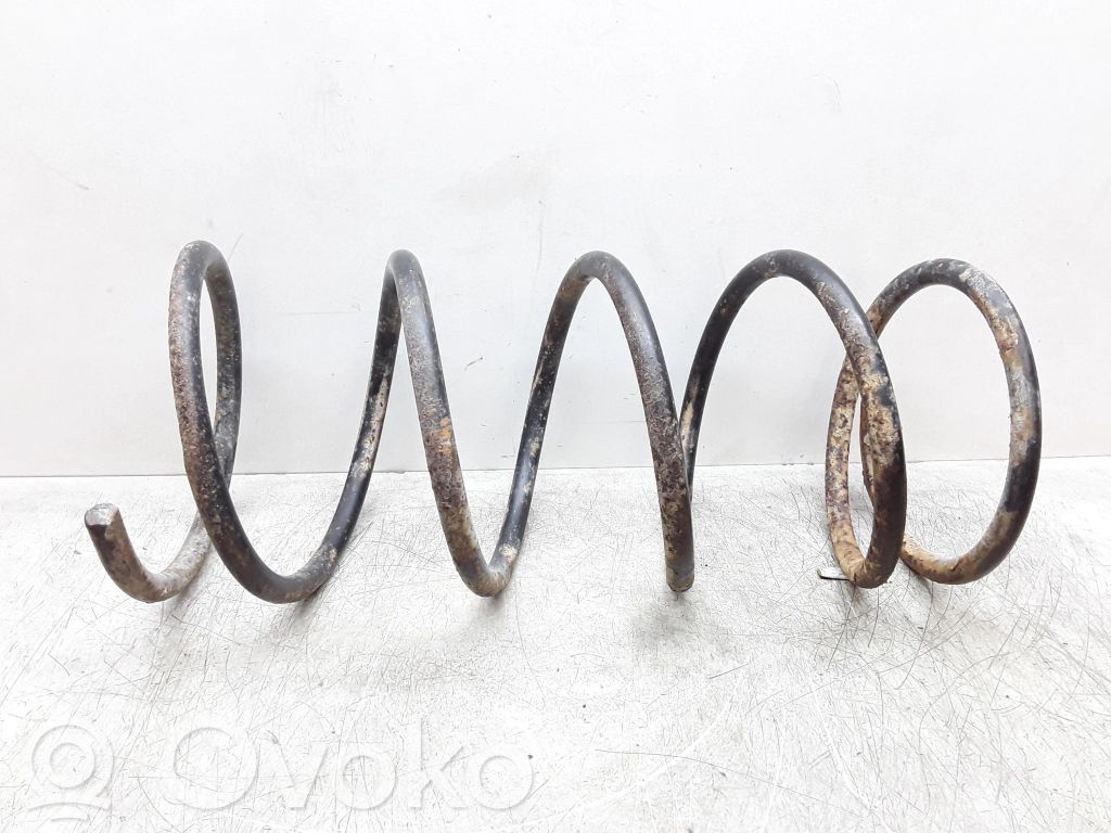 Front coil spring