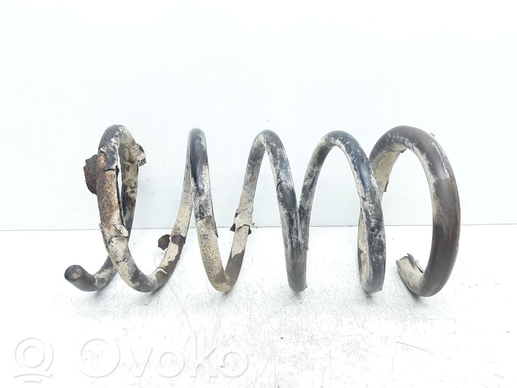 Front coil spring