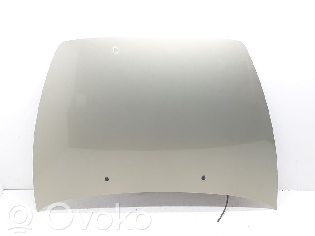 Engine bonnet/hood