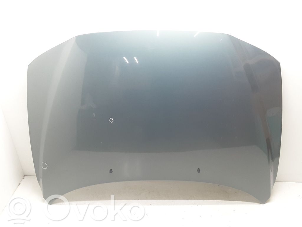 Engine bonnet/hood