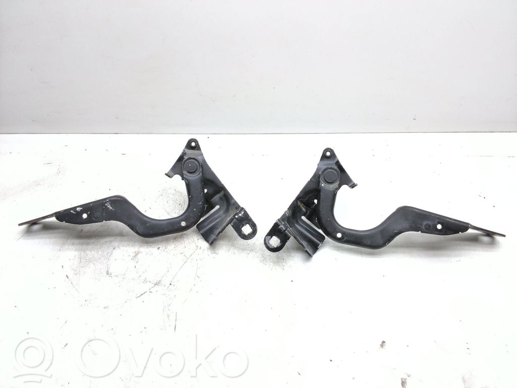 Ford Focus Balamale capotă 