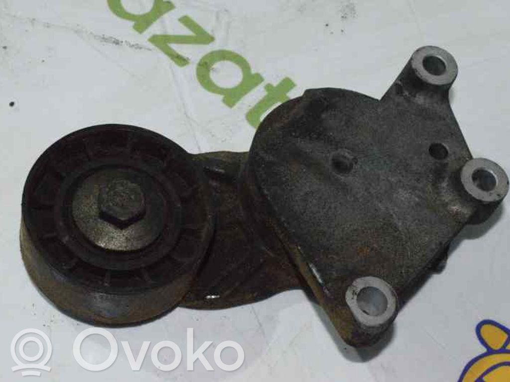 Peugeot 307 Napinacz paska alternatora 