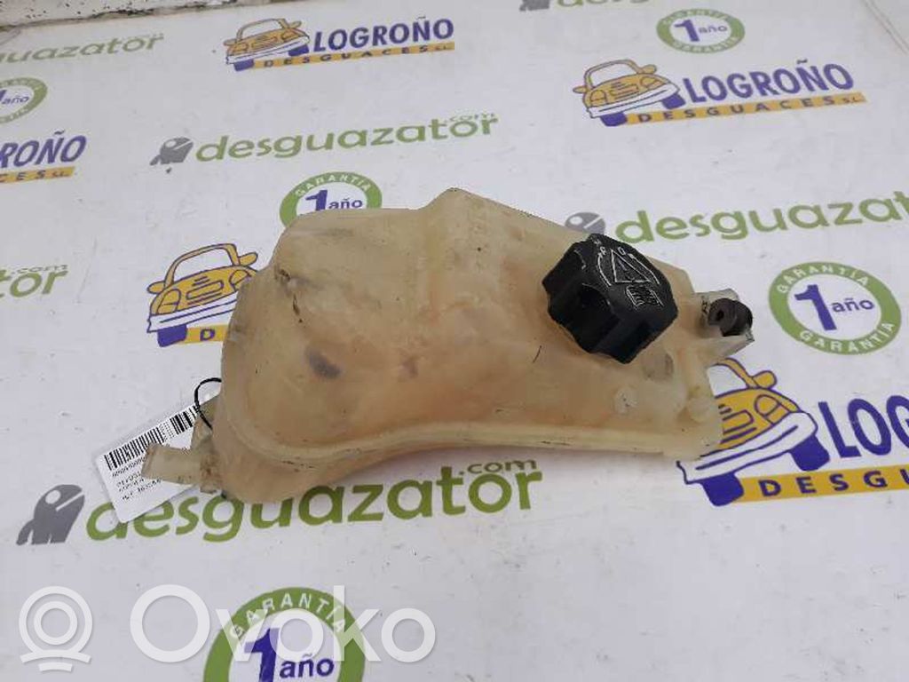 Citroen Berlingo Serbatoio di compensazione del liquido refrigerante/vaschetta 