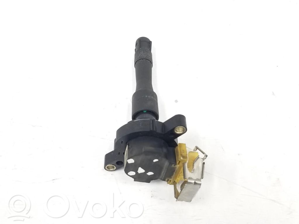 High voltage ignition coil   1748017,12131748017