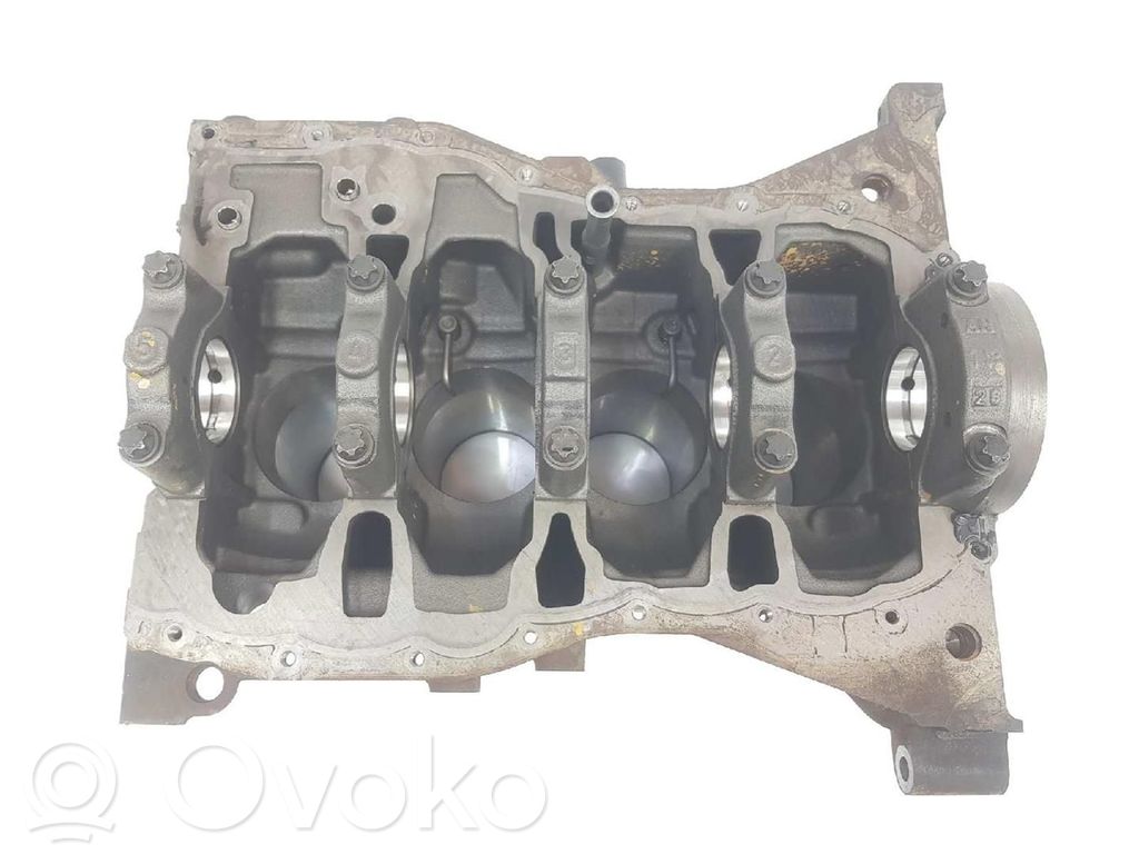 Renault Kangoo II Engine block 