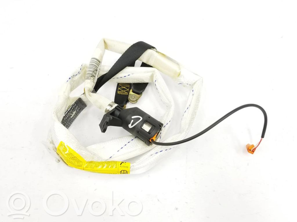 BMW 5 E39 Airbag del techo 