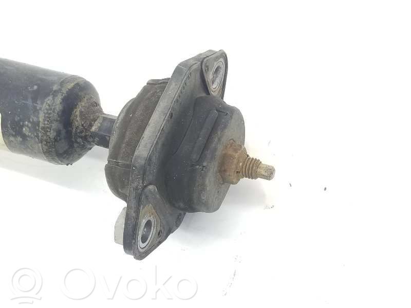 BMW X1 E84 Rear shock absorber/damper 