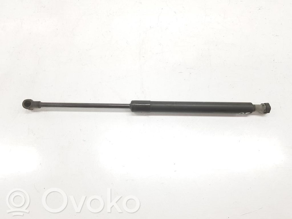 Konepellin kaasujousi   51237118370