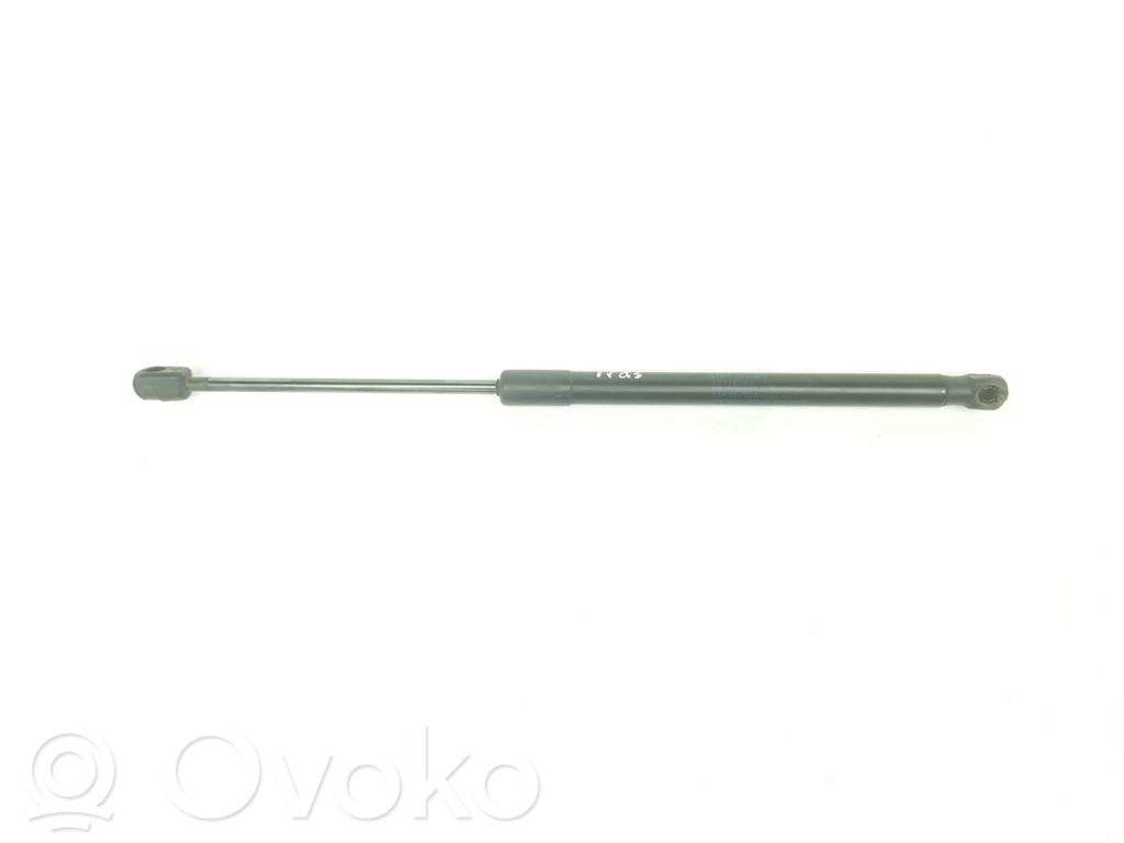 Suzuki Swift I Amortizor hayon 