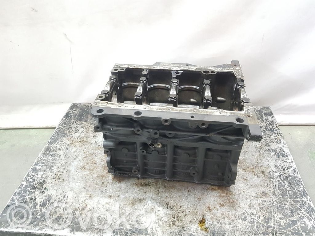 Skoda Octavia Mk2 (1Z) Bloque de motor 
