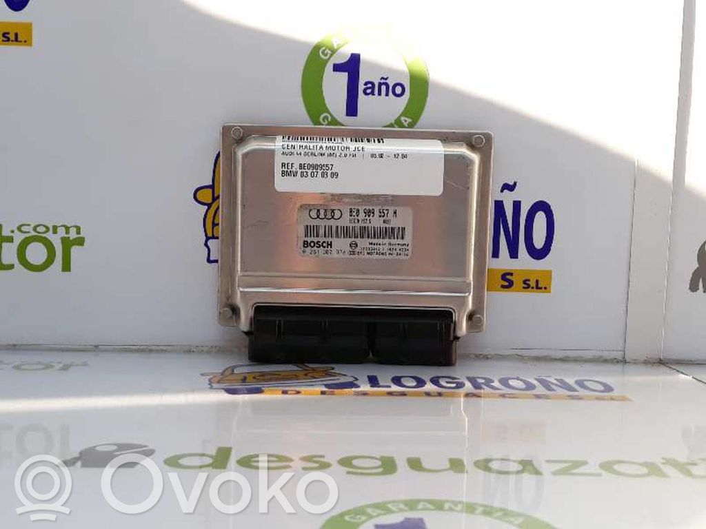 Audi A4 S4 B6 8E 8H Engine control unit/module 