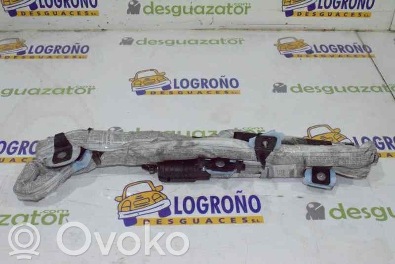 Kopfairbag   84696664505N,84696664505N