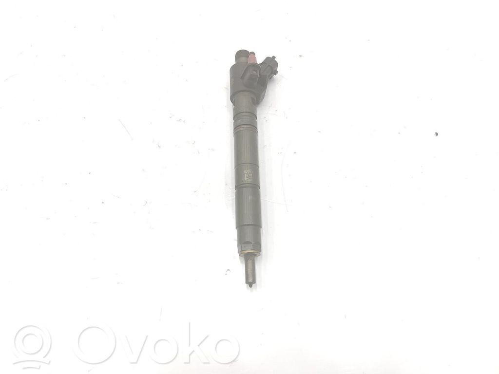 Land Rover Range Rover Sport L320 Injector combustibil 
