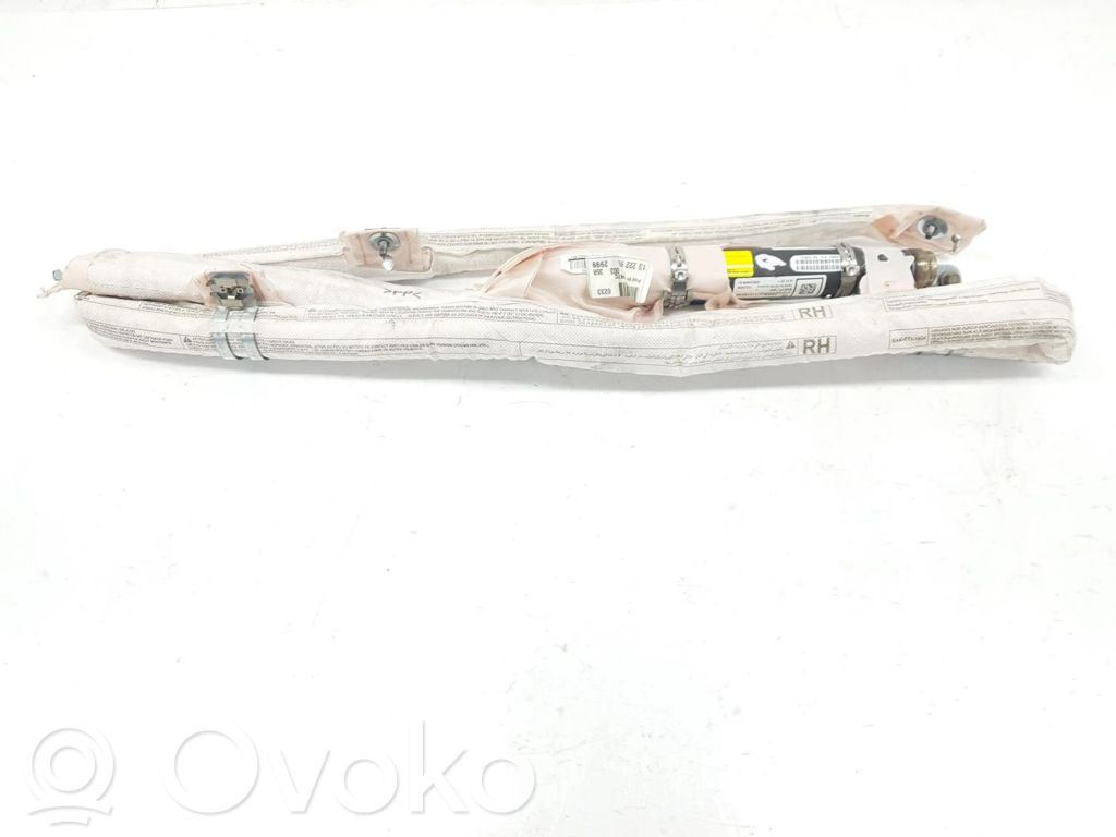 Kurtyna airbag   13222999,5199393