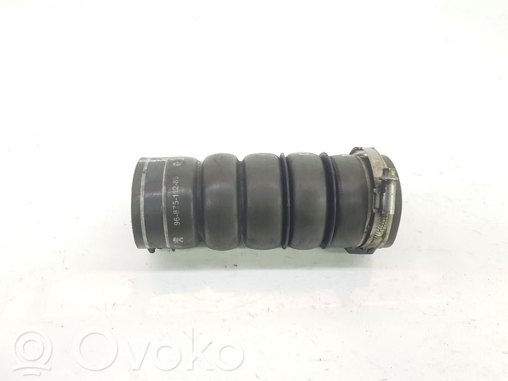 Peugeot 3008 I Tubo flessibile intercooler 