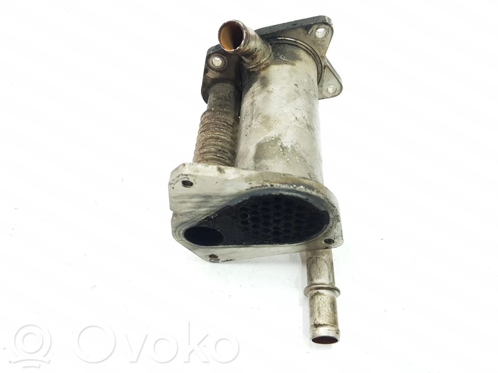 Renault Megane III Valvola di raffreddamento EGR