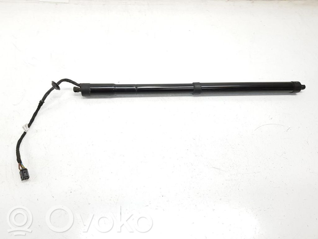 Land Rover Range Rover Evoque L538 Ammortizzatore portellone posteriore/bagagliaio 