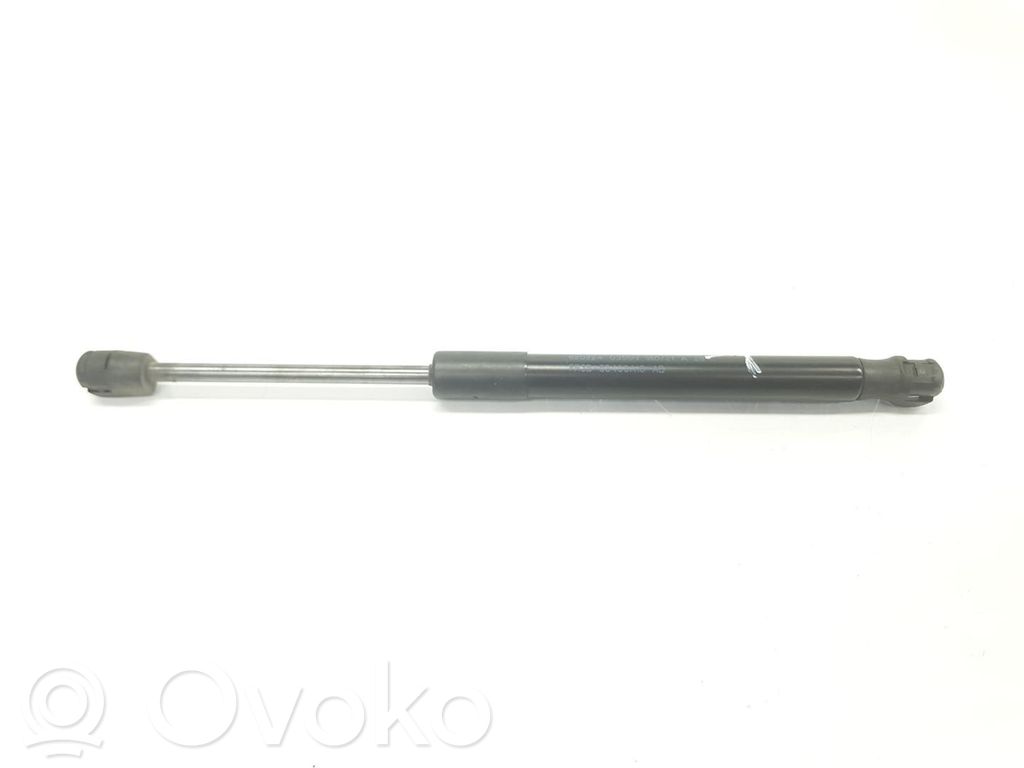 Amortizor hayon   FR3B63406A10AB,FR3B63406A10AB