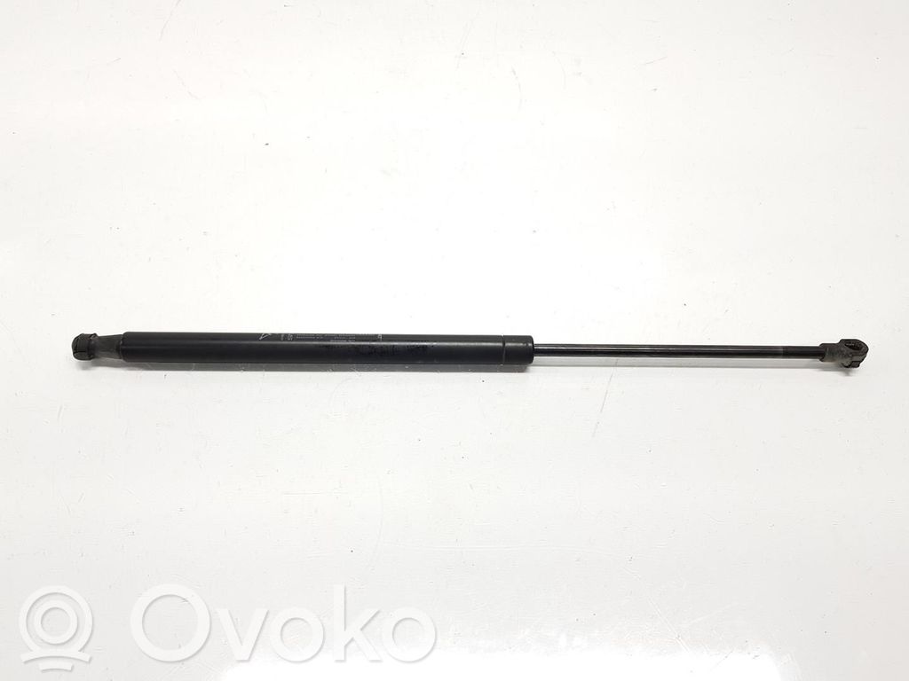 Fiat 500 Ammortizzatore portellone posteriore/bagagliaio 