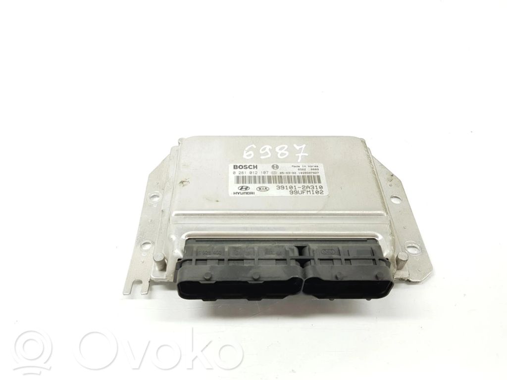 Hyundai Matrix Engine control unit/module 