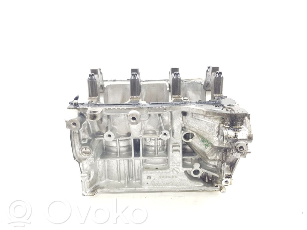 Dacia Sandero Engine block 