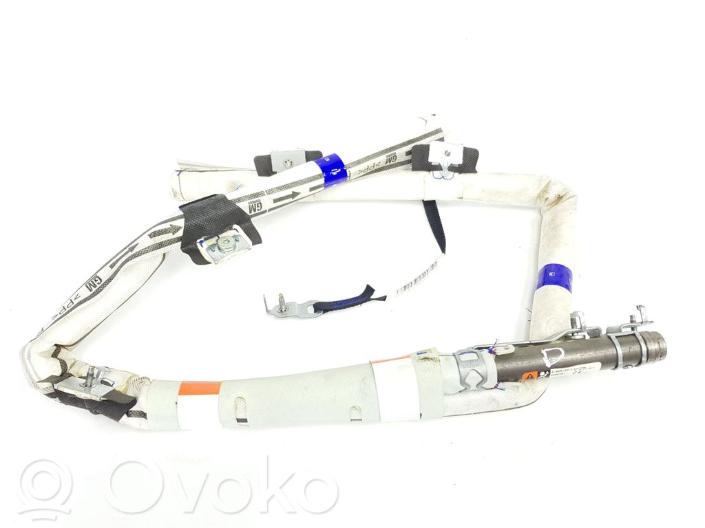 Airbag del techo   39045978,39045978