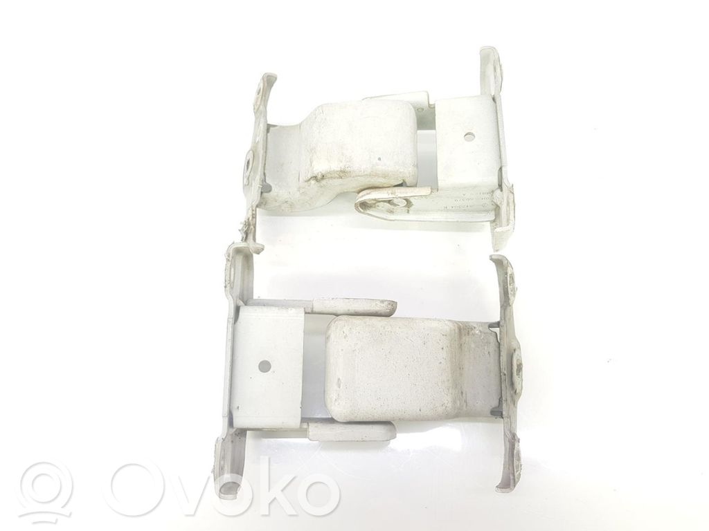 Tailgate hinge   7700312304,8200527428