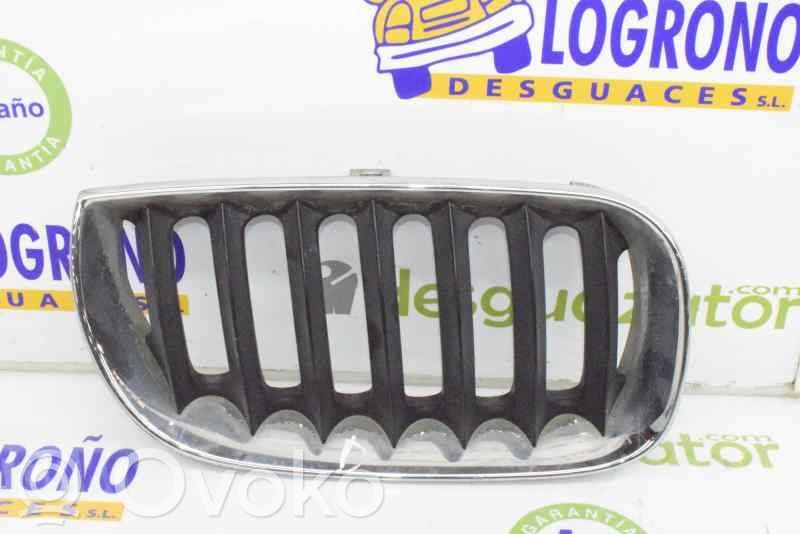 BMW X3 E83 Front grill 