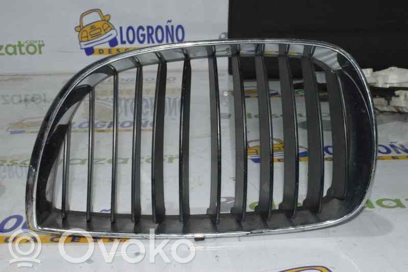 BMW 1 E81 E87 Griglia anteriore 