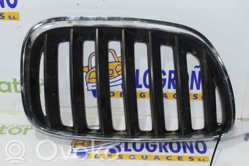 BMW X5 E53 Front grill 