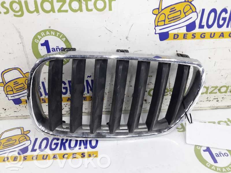 BMW X3 G01 Grotelės priekinės 