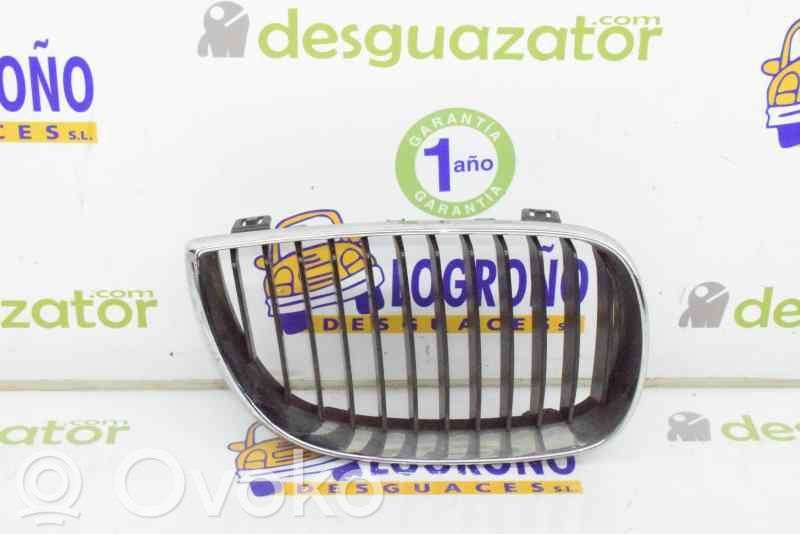 Atrapa chłodnicy / Grill   51137077130,51137077130