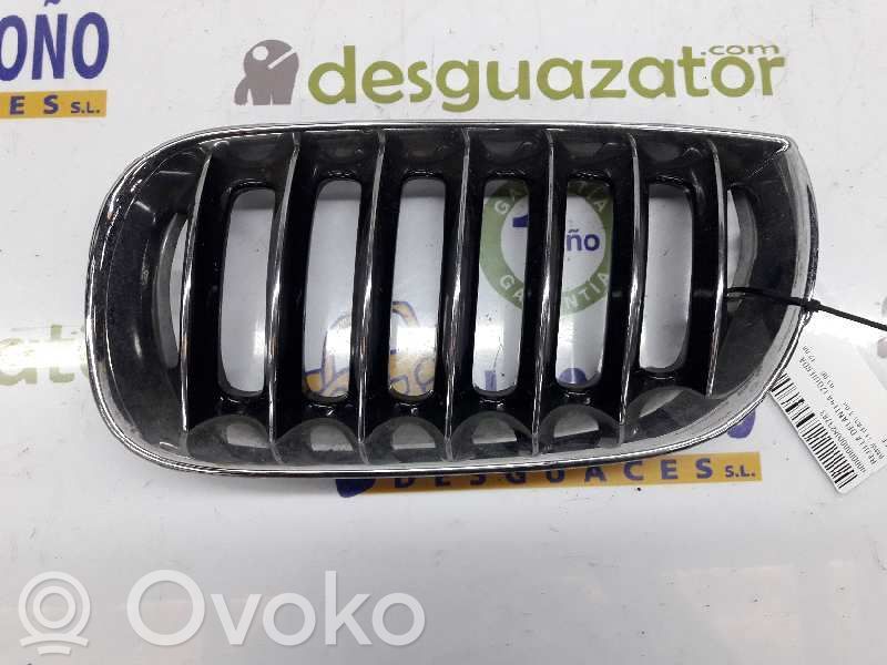 BMW X3 E83 Front grill 