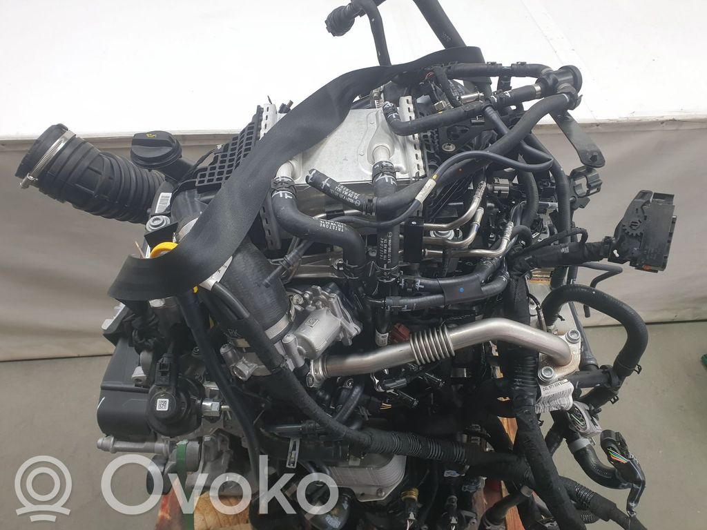 Motor   DNAE,04L100039E