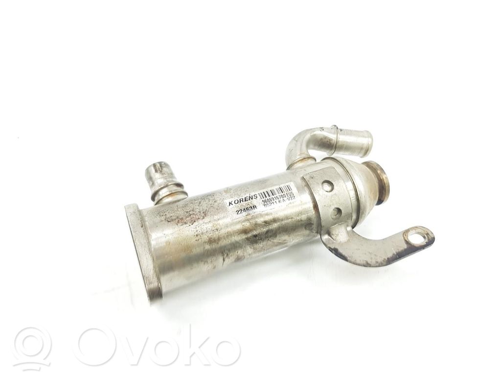 Citroen C5 EGR aušintuvas 