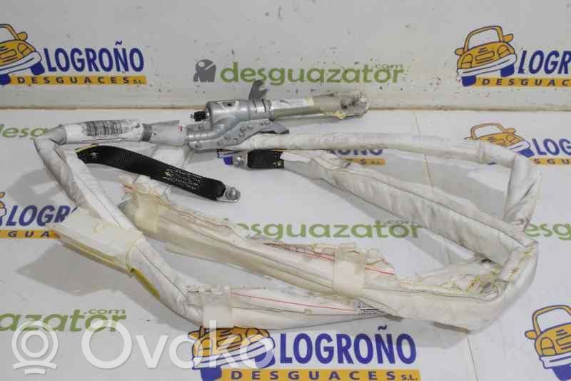 BMW 7 E65 E66 Airbag del techo 