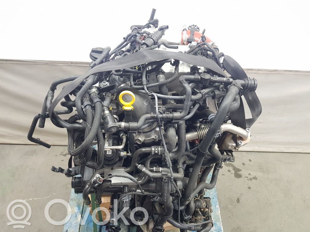 Motor   DREC,03N100031J