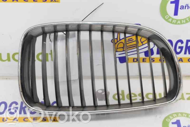 Rejilla delantera   51137166440,51137166440