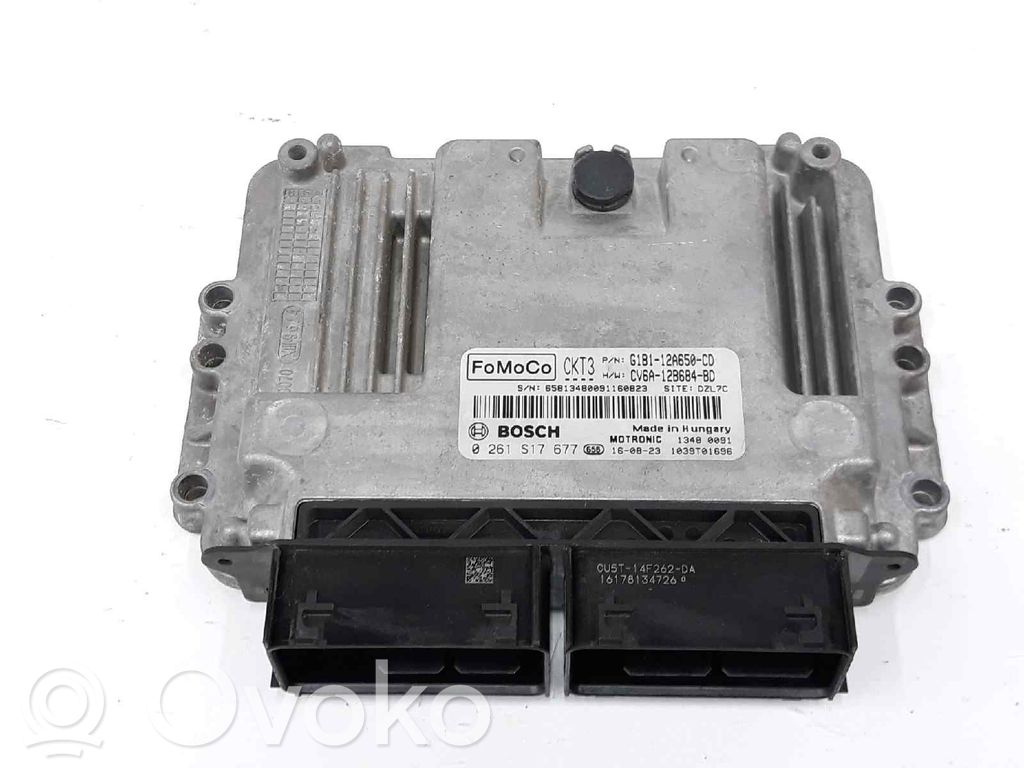 Engine control unit/module   G1B112A650CD,0261S17677,2013029