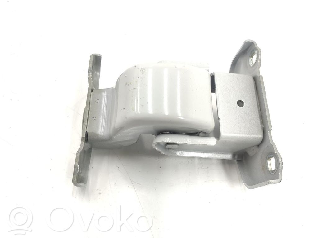 Renault Trafic III (X82) Set di cerniere portiera posteriore 