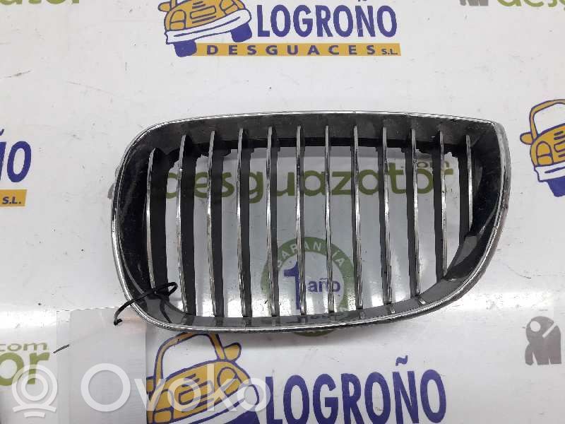 Front grill   51137077129,51137128613