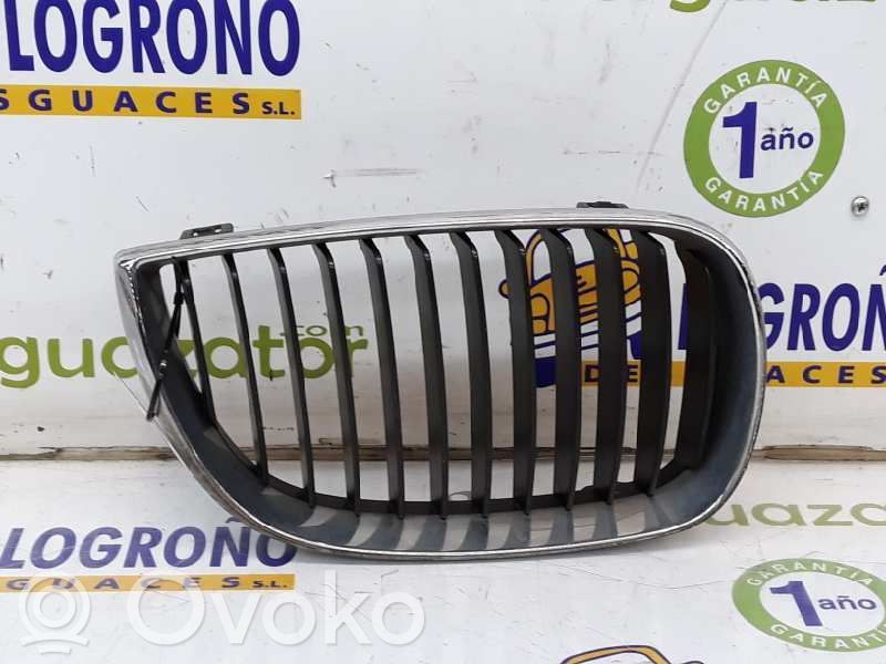 Kühlergrill   51137077130,51137128614
