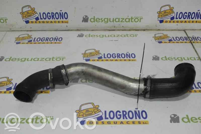 BMW 5 E39 Interkūlera šļūtene (-es) / caurule (-es) 