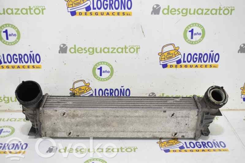 Radiador intercooler   17517798788,3296399