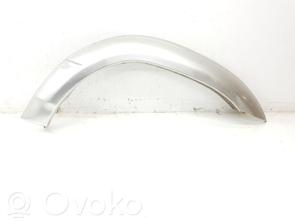 Toyota Land Cruiser (HDJ90) Ornament contur aripă față 