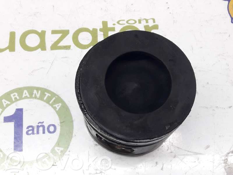 Pistón   11257810825,11257810825